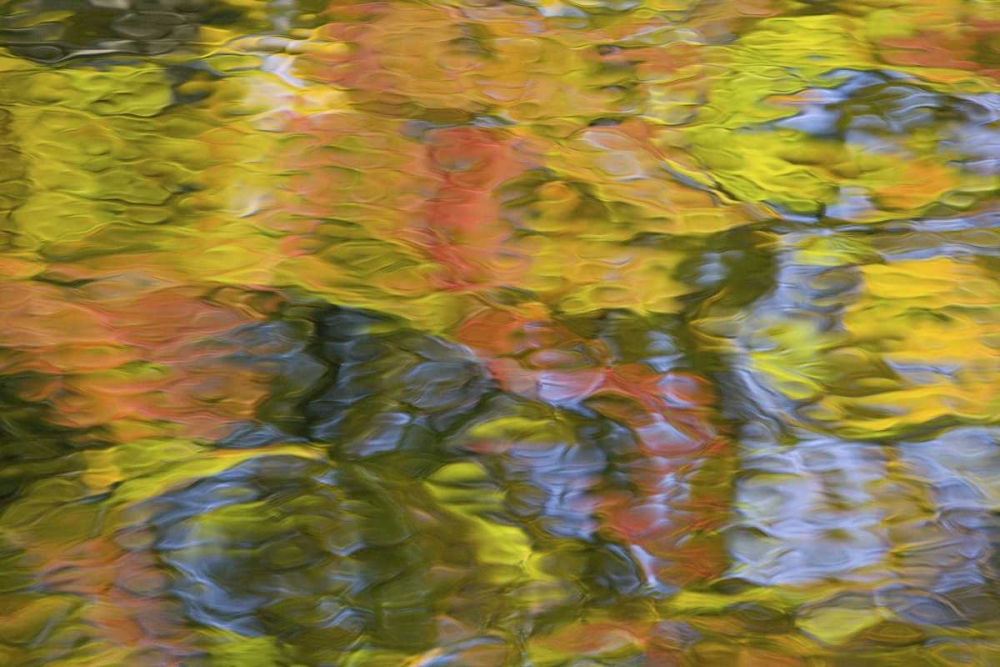 Quebec, Canada Autumn reflects on water patterns art print by Gilles Delisle for $57.95 CAD